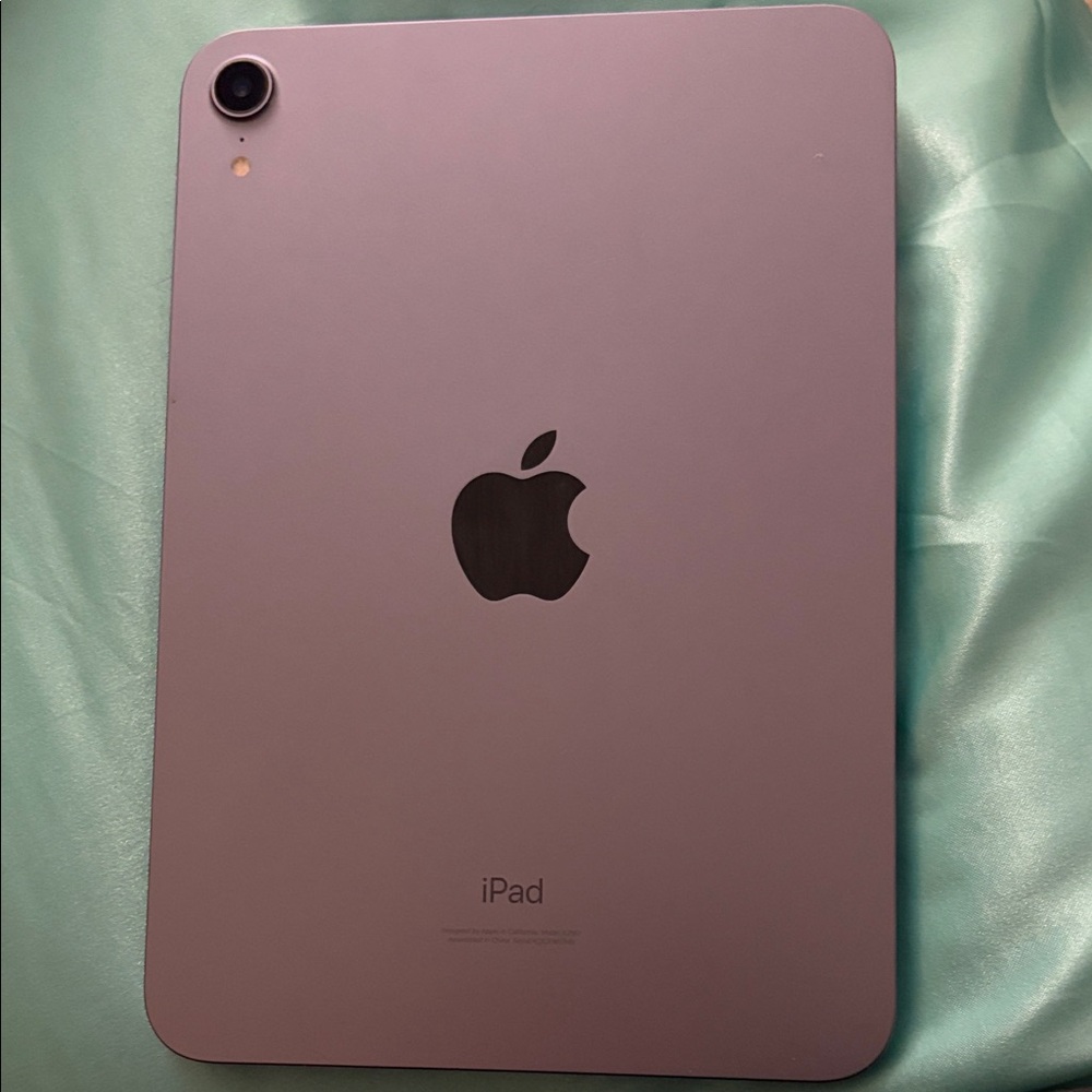 Apple iPad mini